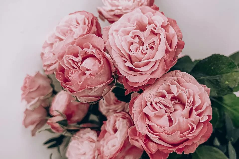 என்ன அவசரம்