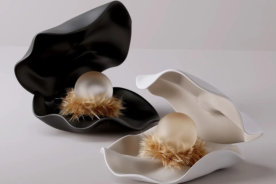 சிப்பி - முத்து